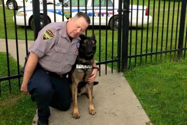 That K-9 Story May Not Have Happy Ending After All