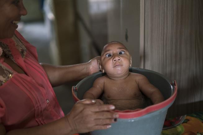 Study Highlights Zika's Devastating Spread to Fetus
