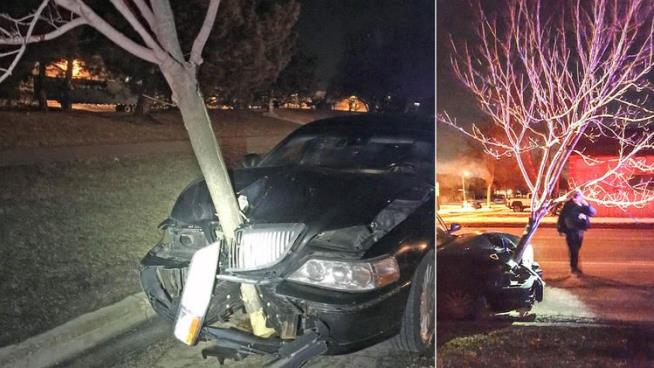 Cops Pull Over Car With Tree Stuck in Grille