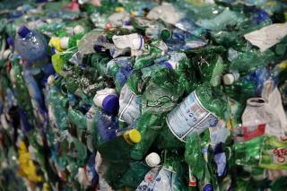 Scientists: This Bacteria Can Eat Plastic Trash