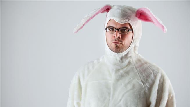 Bad Bunny: 5 Craziest Crimes of the Week