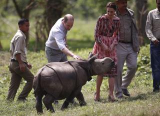 Rhino Killed in India Park Hours After Royal Family's Visit