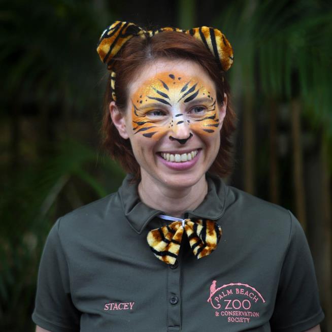 Zoo on Mauled Zookeeper: It's Her Fault