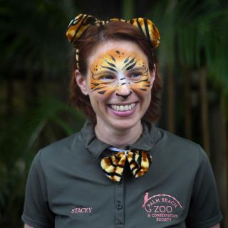 Zoo on Mauled Zookeeper: It's Her Fault