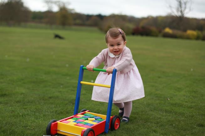 Here Are Princess Charlotte's 1st Birthday Gifts