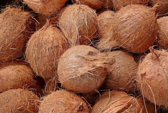 Border Agents Find 1.4K Pounds of Pot Inside Coconuts