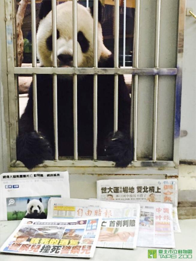 Reports of Panda's Demise Have Been Greatly Exaggerated