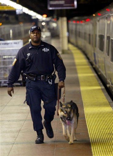 US Imports its Drug-Sniffing Dogs for $4,500 Each