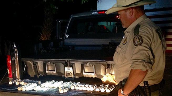 Suspect Busted With 107 Stolen Sea Turtle Eggs
