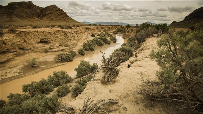 3 Kids Dumped in Scorching Desert as Punishment: Cops