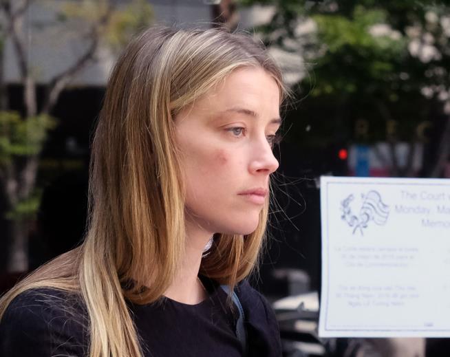 Amber Heard Gives Full Divorce Settlement to Charity