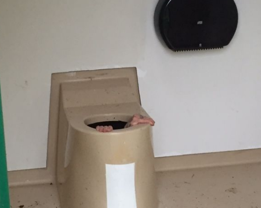 Man Follows Dropped Phone Into Toilet, Gets Stuck