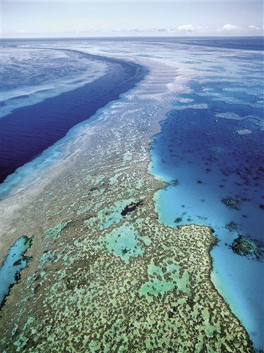 The Great Barrier Reef Just Got Greater