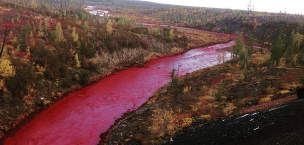 Now, an Explanation for Russia's Blood-Red River