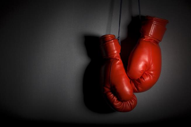 Boxer Dies After Losing for 1st Time in Career