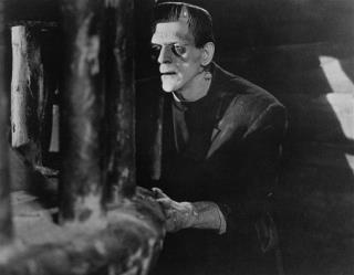 Scientists: Mary Shelley Had Savvy Insight in Frankenstein