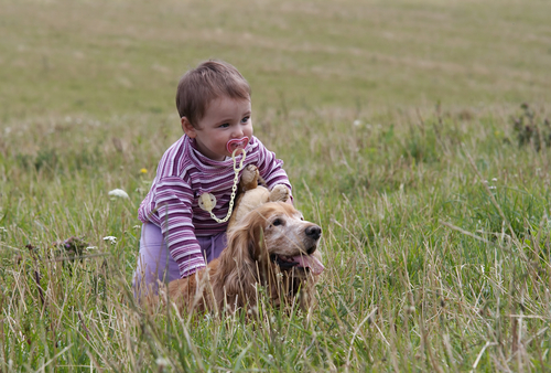 The Battle to Baby-Proof the Family Dog