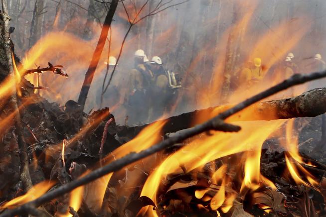 'It's the Apocalypse': Tenn. Wildfires Rage