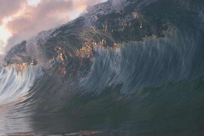 Monster Wave: 5 Most Incredible Discoveries of the Week