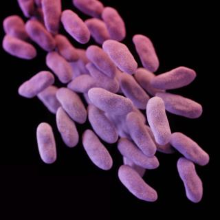 New Reason to Worry About Drug-Resistant Superbugs