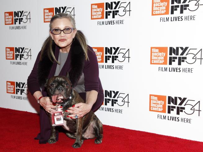 Carrie Fisher in Critical Condition After Heart Attack