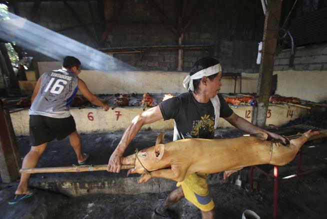 As Typhoon Hits, Philippines Dangle Roast Pig to Evacuees