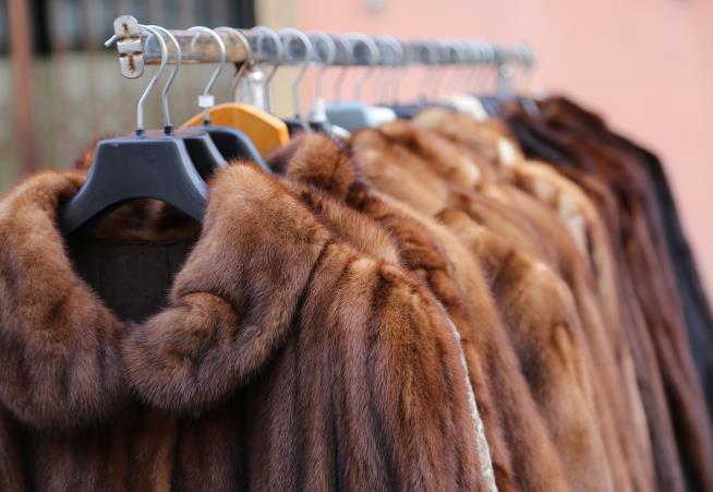 Thieves May Have Committed 'Largest Fur Heist' Ever in NYC