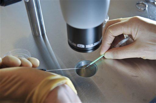 Clinic: Wrong Man's Sperm May Have Fertilized 26 Eggs