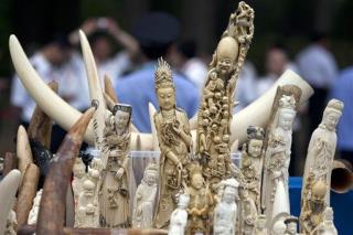 China Announces 'Historic' Ivory Ban