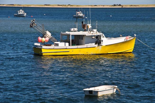 Taking on New England's 'Codfather'