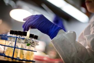 Nevada Woman Dies of Superbug Resistant to 26 Antibiotics