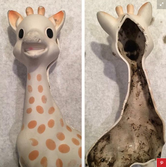 Parents: Popular Teething Toy Is Rife With Mold