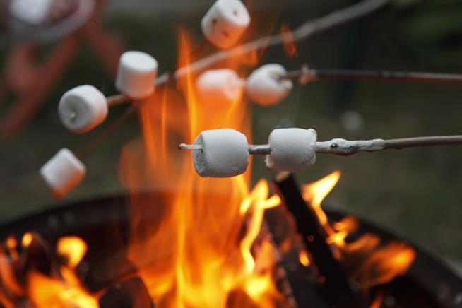 Kids Try to Roast Marshmallows, End Up Hospitalized