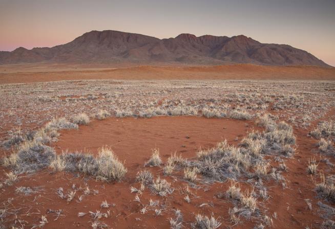 Answer in the Desert: 5 Most Incredible Discoveries of the Week