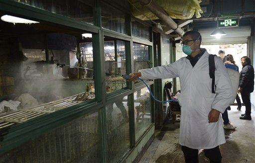 WHO on 'High Alert' Over Bird Flu