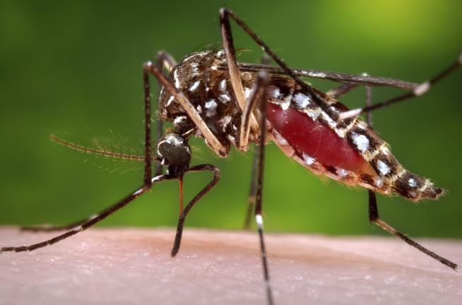 Pregnant Women Told They Didn't Have Zika Get Bad News