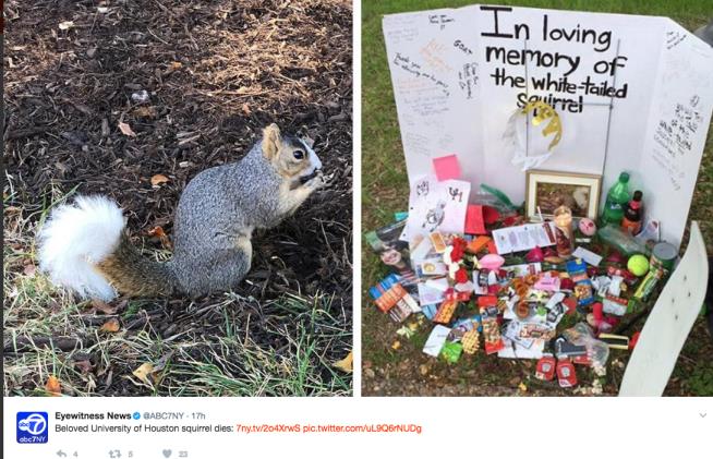 Campus to Hold Funeral for Beloved Squirrel