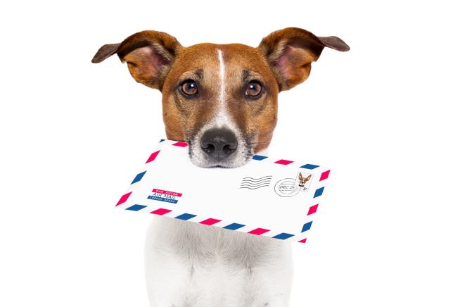 Top 10 Cities for Dog Attacks on Postal Workers