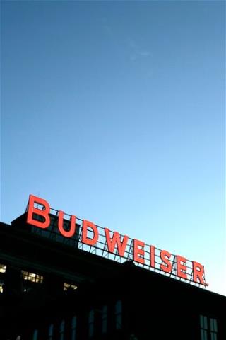 Budweiser to Buy Corona to Stave Off Stella?