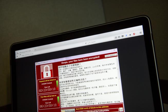 22-Year-Old Living With Parents Accidentally Stops Cyberattack