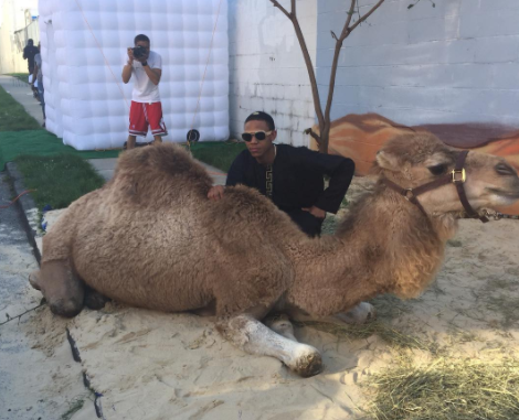 Mom Spends $25K on Son's Prom, Complete With Camel