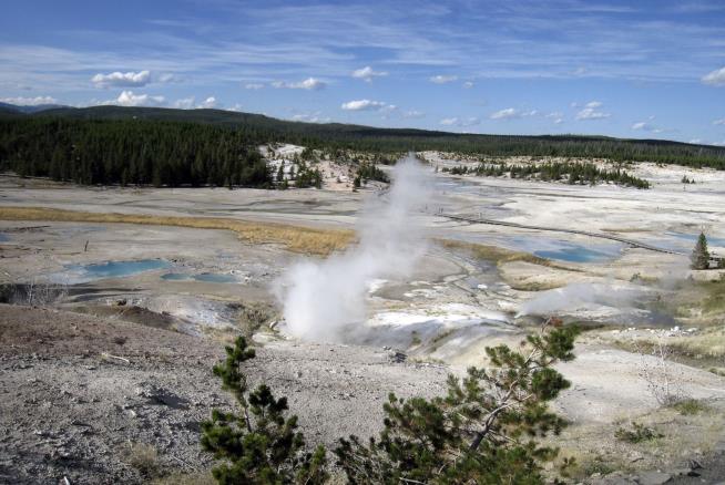 Yellowstone Visitor Falls Into Hot Spring, Is Badly Burned