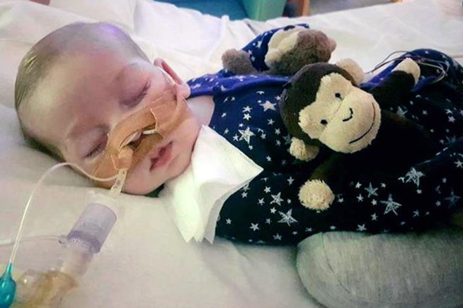 Parents Have Final Wish for Charlie Gard