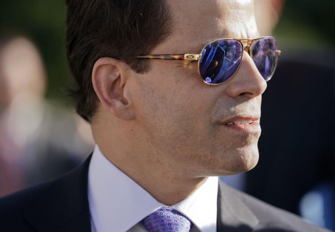 It's Been a Busy News Cycle for 'The Mooch'