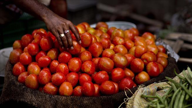 'State Bank of Tomato' Political Stunt Takes Off in India