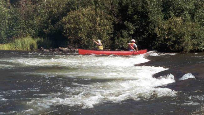 After Canoe Crash in Canada, Tourists Walked for 11 Days