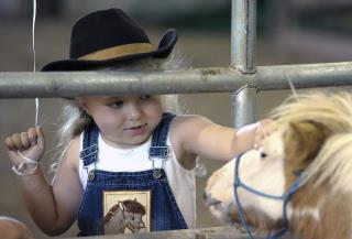 School Board: Students Can Use Mini Horses as Service Animals