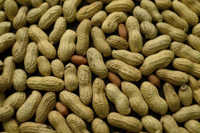 2-Step Process May Sharply Reduce Peanut Allergy Risk