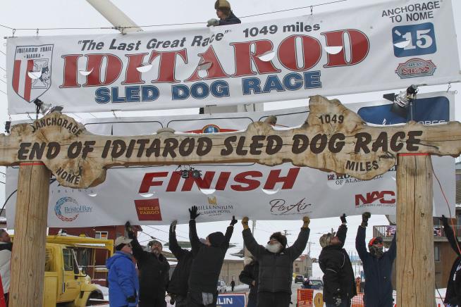 World's Most Famous Racing Dogs Busted for Doping