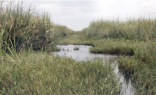 Florida Buys Sugar Land to Save Everglades